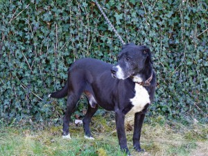 jack-1157.jpg